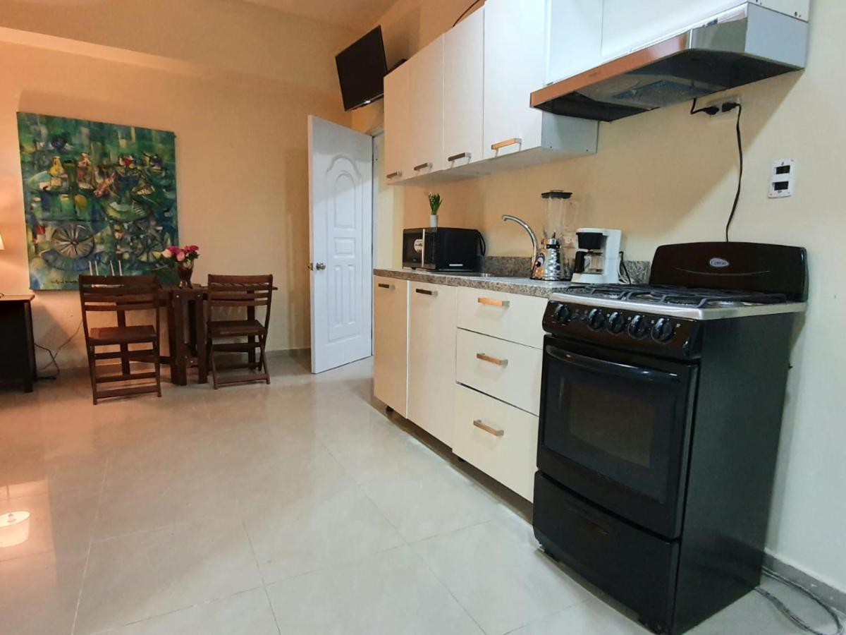 Apartamentos Roman Санто-Доминго Экстерьер фото